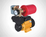 Surface pump_Vortex pump_Peripheral pump AU_TPS60-S